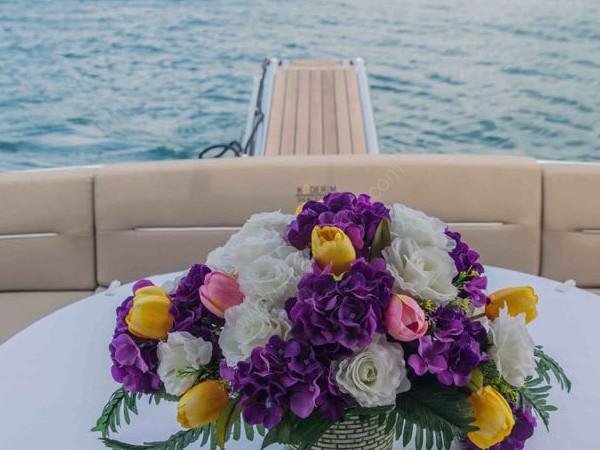 Yacht Gallery