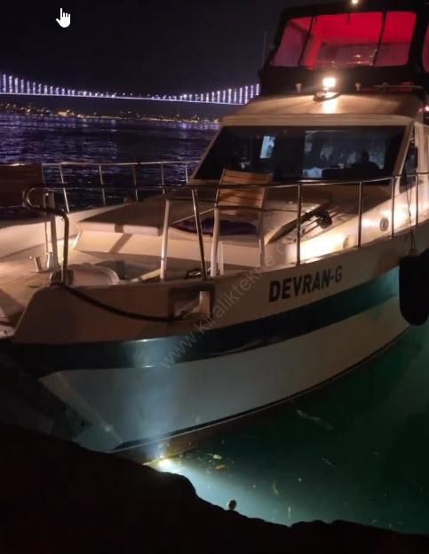 Yacht Gallery
