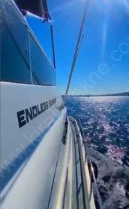 Yacht Thumbnail
