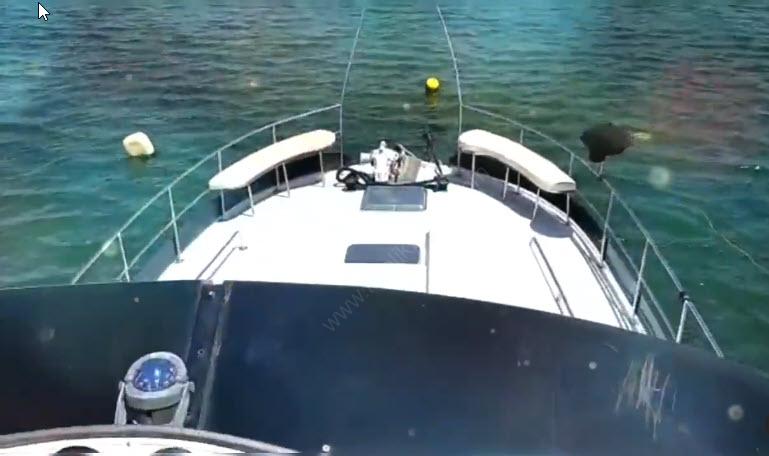 Yacht Gallery