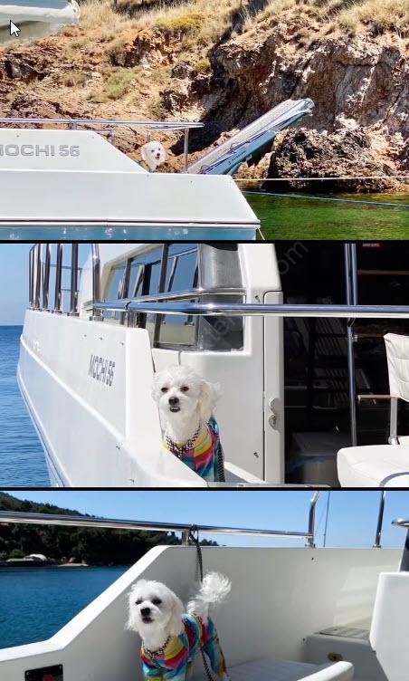 Yacht Gallery