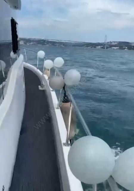 Yacht Gallery
