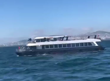 Yacht Gallery