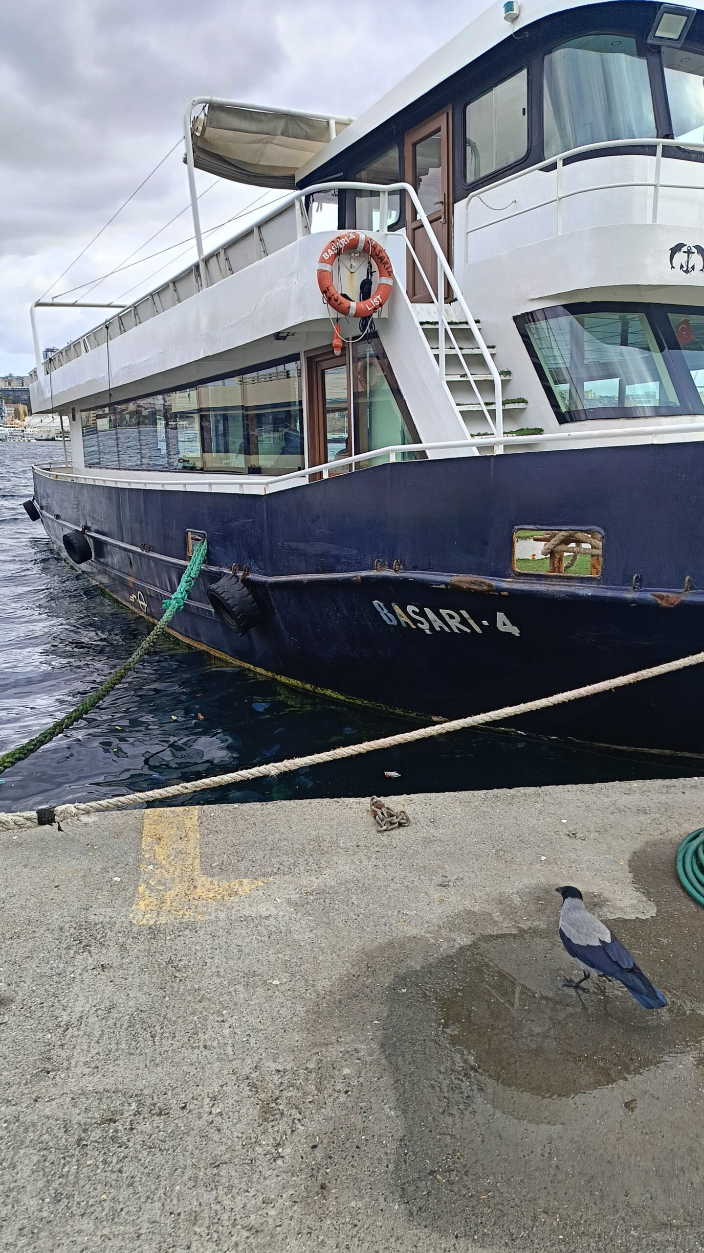 Yacht Gallery