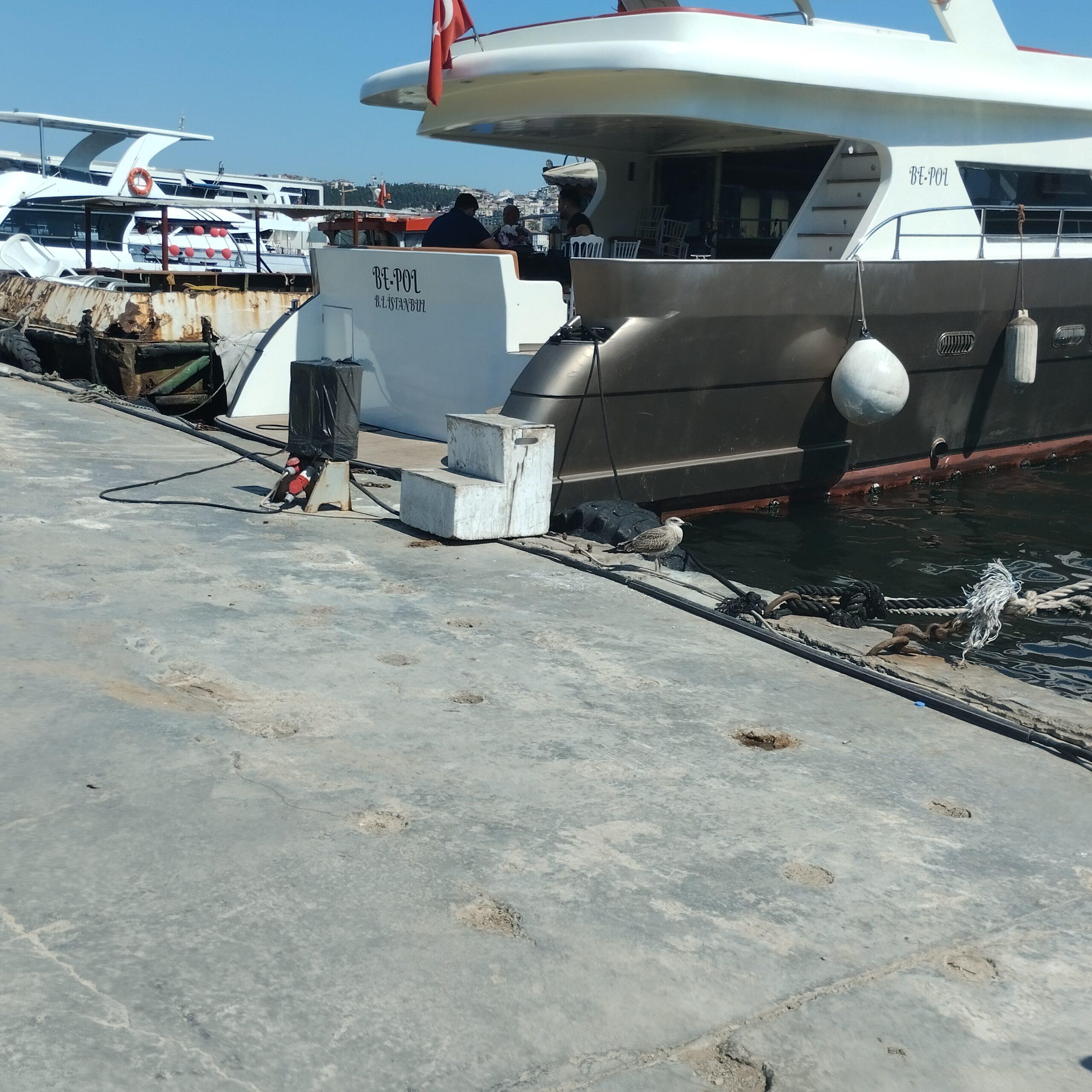 Yacht Gallery