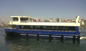 ERDEM TUR