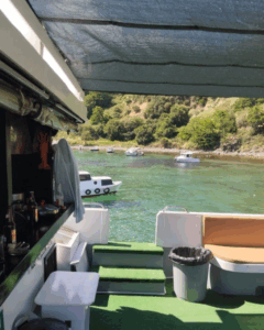Yacht Thumbnail