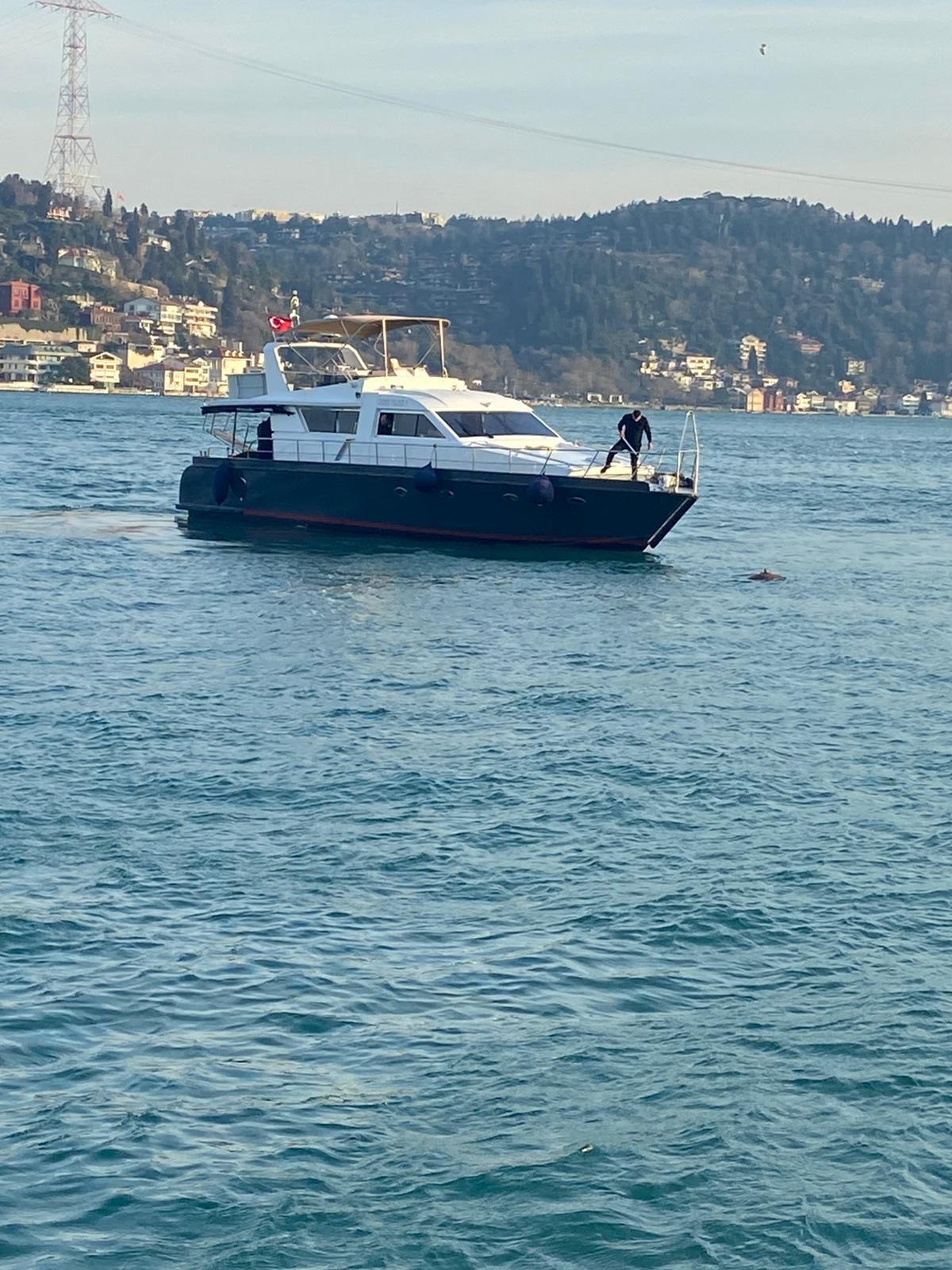 Yacht Gallery