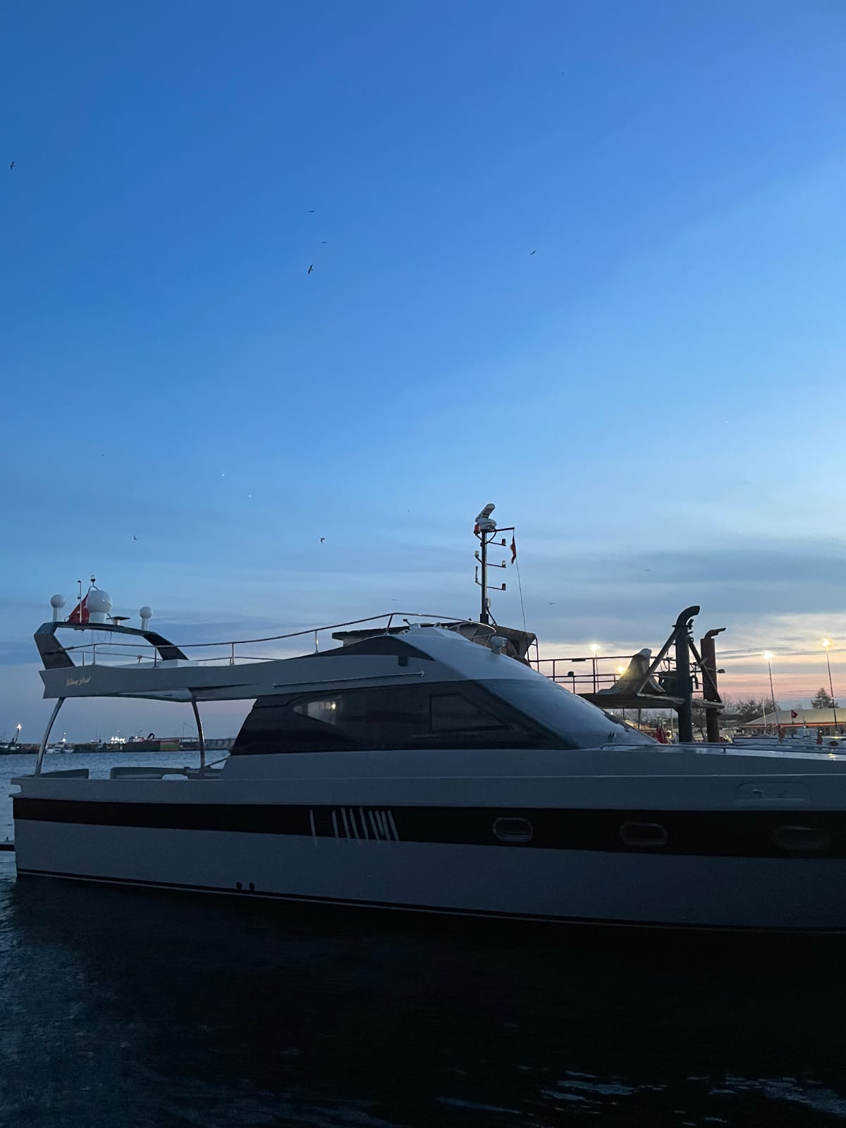 Yacht Gallery