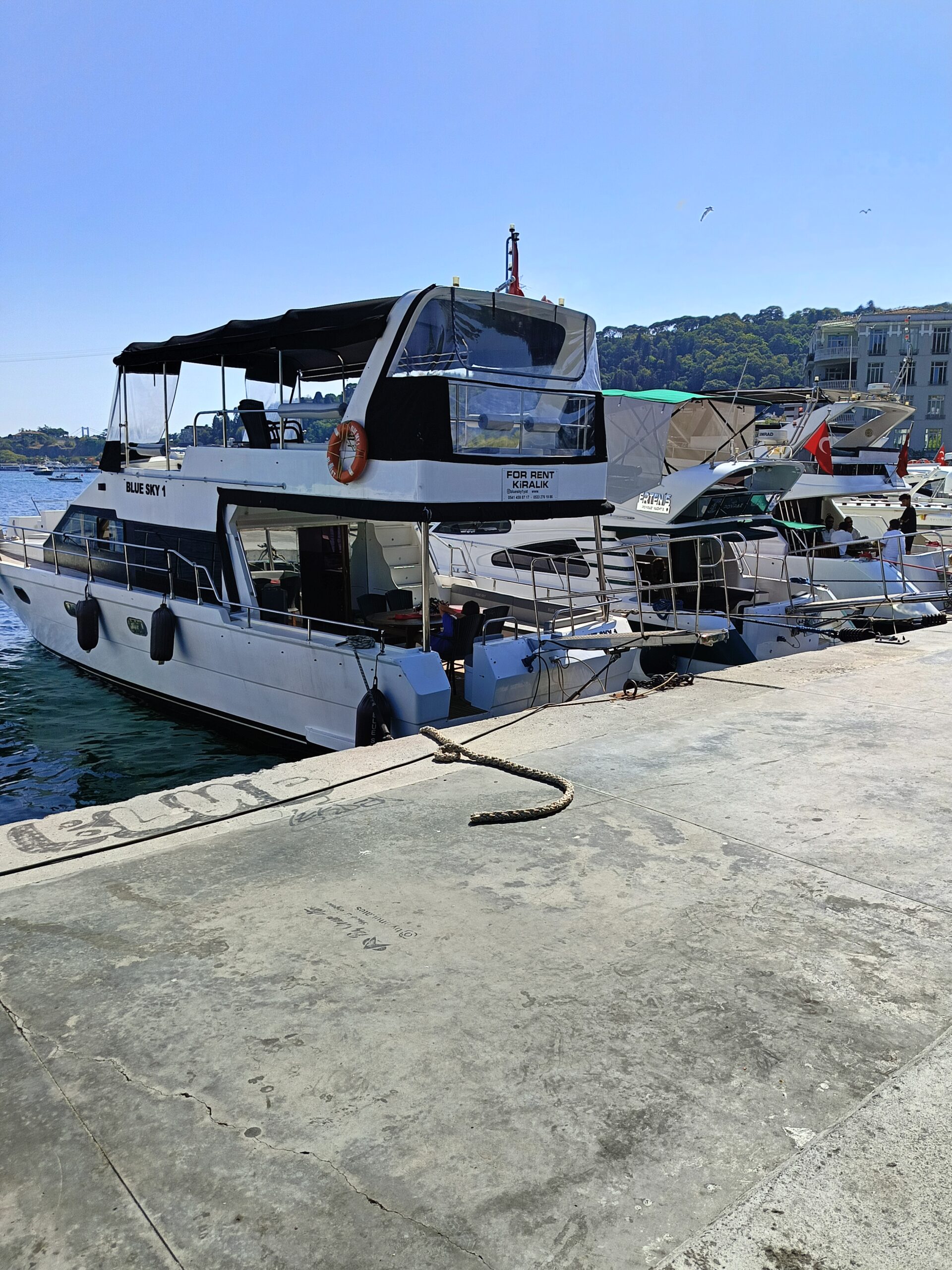 Yacht Gallery