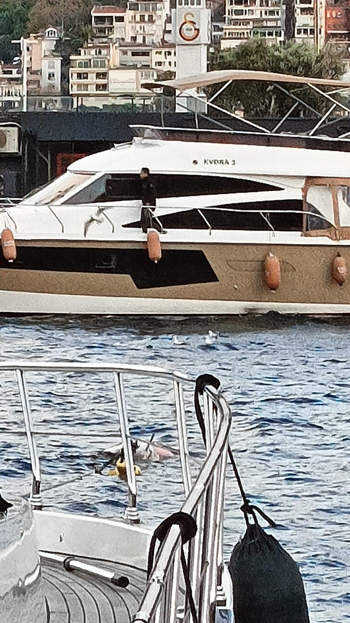 Yacht Gallery