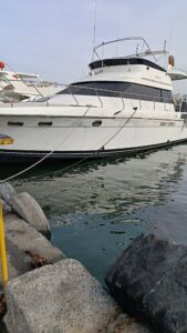 Yacht Thumbnail