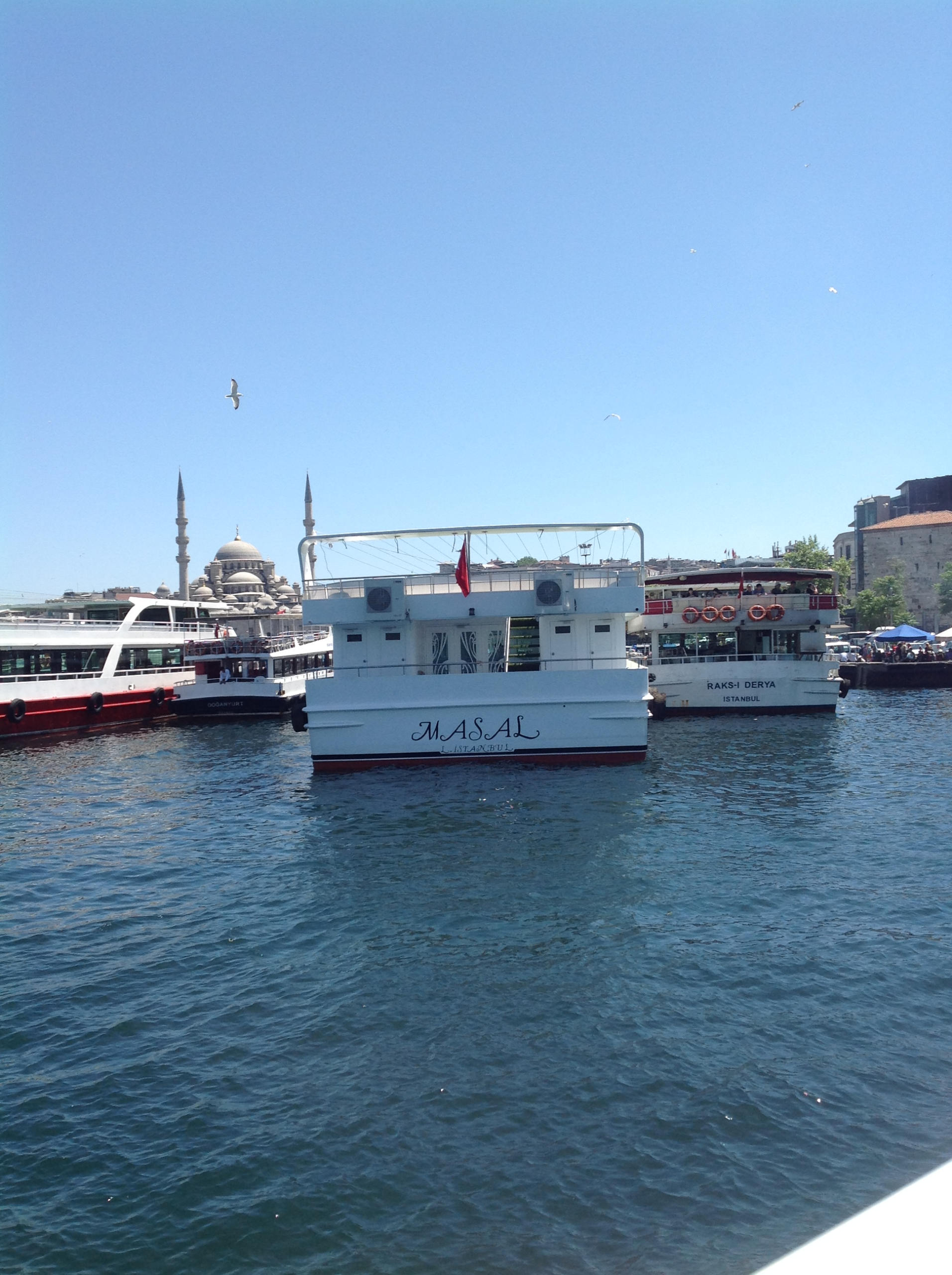 Yacht Gallery