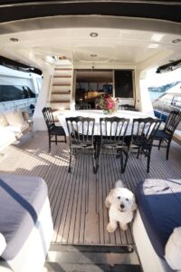 Yacht Thumbnail