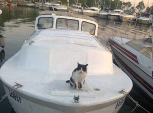 Yacht Thumbnail