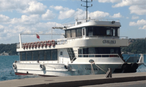 CİVELEK 2
