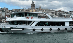 EFSANE