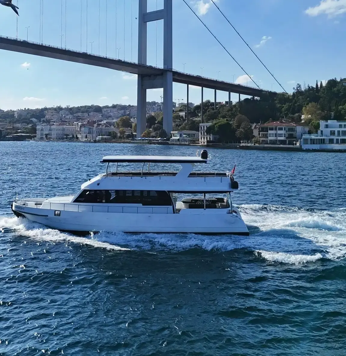 Yacht Gallery