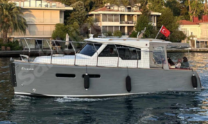 ELİSAA